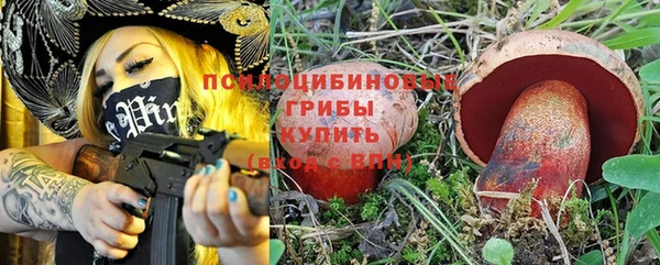 стаф Козловка