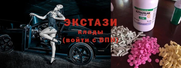стаф Козловка