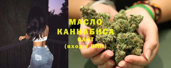 стаф Козловка