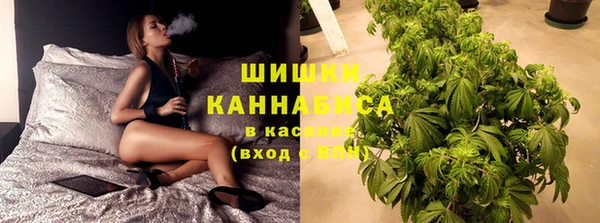 СК Козельск