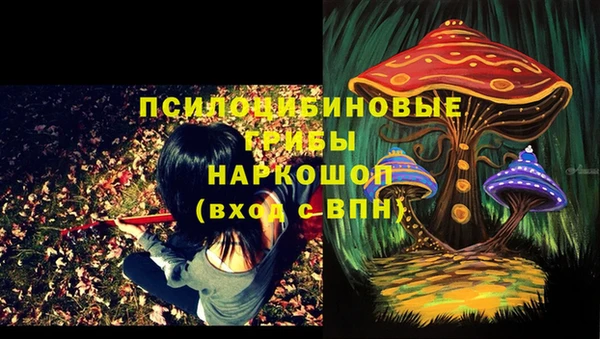 стаф Козловка