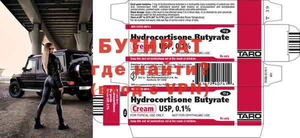 прущие грибы Ельня
