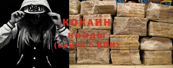 стаф Козловка