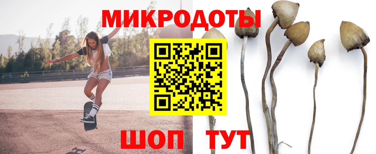 Псилоцибиновые грибы прущие грибы  Галлюциногенные грибы Magic Shrooms  Вход с VPN  Осинники 